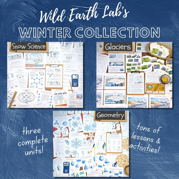 Snow Science Worksheet PDF